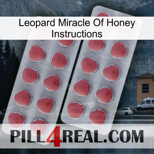 Leopard Miracle Of Honey Instructions 19.jpg